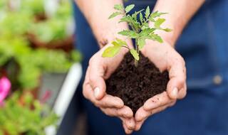 डीएनडी फ्लाईवे 1 माह मनाएगा पर्यावरण जागरूकता अभियान