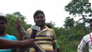 Watch:15-foot-long rare Cobra caught in Mayurbhanj district of Odisha