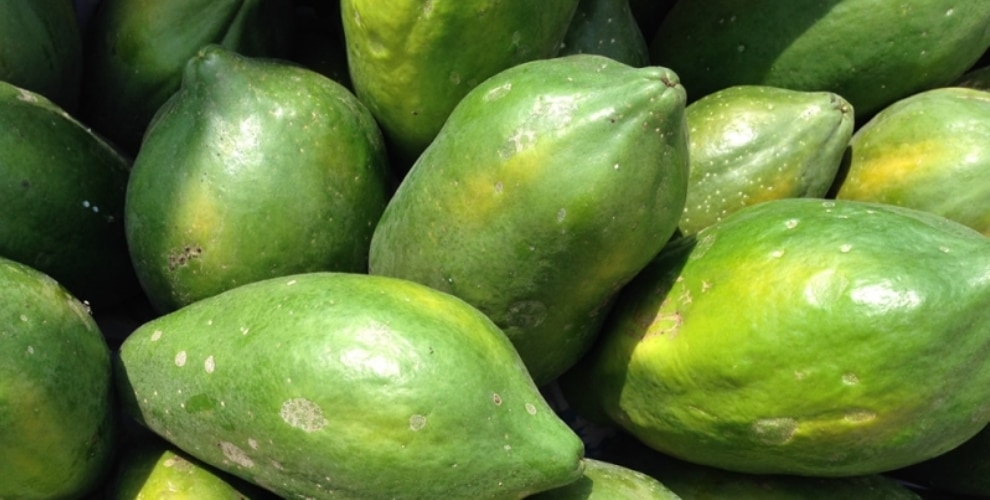 Top home and natural remedies to fight with loose motion rj लूज मोशन