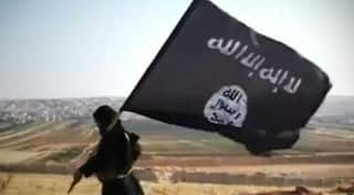 ISIS-linked Saudi twin brothers attack own family, stab mother