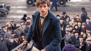 The latest trailer of Fantastic Beasts and Where To Find Them introduces magical creatures you will love!