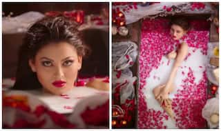 Great Grand Masti song I Wanna Tera Ishq: Urvashi Rautela is an eye candy!