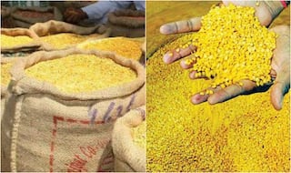 अरहर दाल: पोषक तत्वों का खजाना है तुअर दाल, जानें रोज खाने के फायदे...