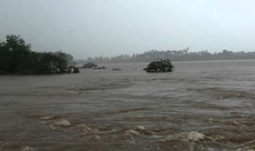 india.com top news