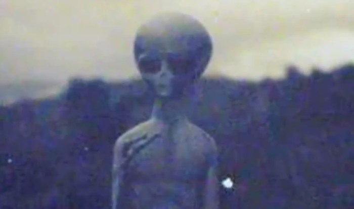 alien warrior figure