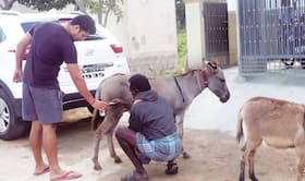 india.com top news