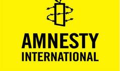 Amnesty International seeks to set up South Asian hub in India