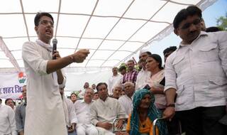 Congress leader Sachin Pilot slams BJP over reports of cow deaths in Rajasthan