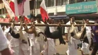 Kerala activists kill, hang dogs on pole protesting against stray menace Kerala activists kill, hang dogs on pole protesting against stray menace