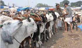 india.com top news