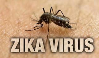 Zika Virus: जानें कैसे फैलता है जीका वायरस, लक्षण, कारण, इलाज और बचाव के तरीके