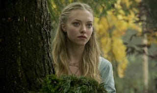 Amanda Seyfried throws birthday party for her DOG