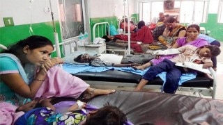 After Flood, Dengue Nightmare Scares People of Bihar; Nearly 1,400 Affected
