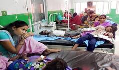 Chikungunya cases spike up in Delhi, people in shelter homes worst affected