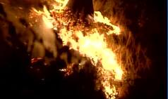Jammu and Kashmir: Massive forest fire breaks out in Doda