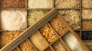 Bihar News: बिहार में नवंबर तक मिलेगा मुफ्त मिलेगा अनाज, 3 रुपए किलो चावल और गेहूं अलग से देगी सरकार