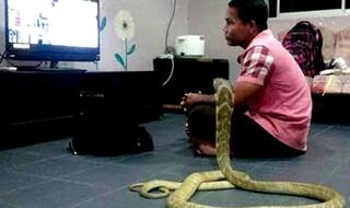 इस शख्स ने की नागिन से शादी, देखिये सबूत