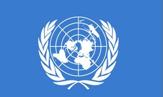 India Urges UN to Take Special Measures to Protect Peacekeepers From IED Hazards