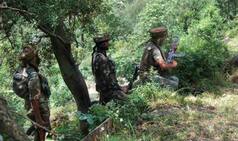 Nagrota, Baramulla, Machil and 286 ceasefire violations: 25 soldiers killed after Modi govt's 'surgical strike'