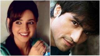Oh No! Sanaya Irani and Harshad Chopra's upcoming show Meenu Mausi scrapped