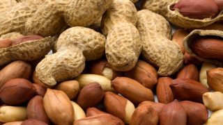 Peanut Allergy Treatment For Children To Be Reality As Australian Researchers Find Path-Breaking Cure