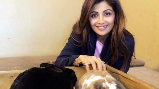 Trollers take on Shilpa Shetty on twitter! Check out top 10 funniest tweets