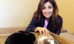 Trollers take on Shilpa Shetty on twitter! Check out top 10 funniest tweets