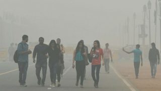 Haryana Govt Orders Closure of All Schools Till November 17, Bans Construction Activities Amid Air Pollution Crisis