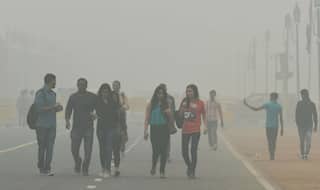 Pollution Crisis: Haryana Govt Orders Closure of All Schools Till This Date, Bans Construction Activities
