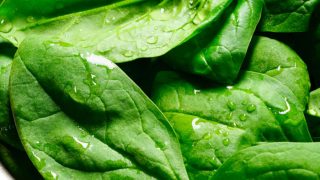 Green Vegetables Like Kale, Salads Improve Cognitive Abilities