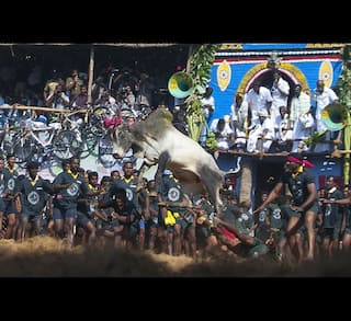 Jallikattu Event Allowed by TN Govt; Number of Players Capped, COVID Test Mandatory | Full Guidelines Here