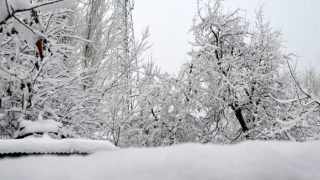 पाकिस्तान में बर्फवारी से 21 लोगों की मौत, नौ बच्चे भी मारे गए