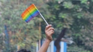 Pride: Madras High Court Bans 'Cure' of Sexual Orientation, Suggests Changes For LGBTQ+ Education