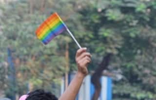 Madras High Court Bans 'Cure' of Sexual Orientation, Suggests Changes For LGBTQ+ Education