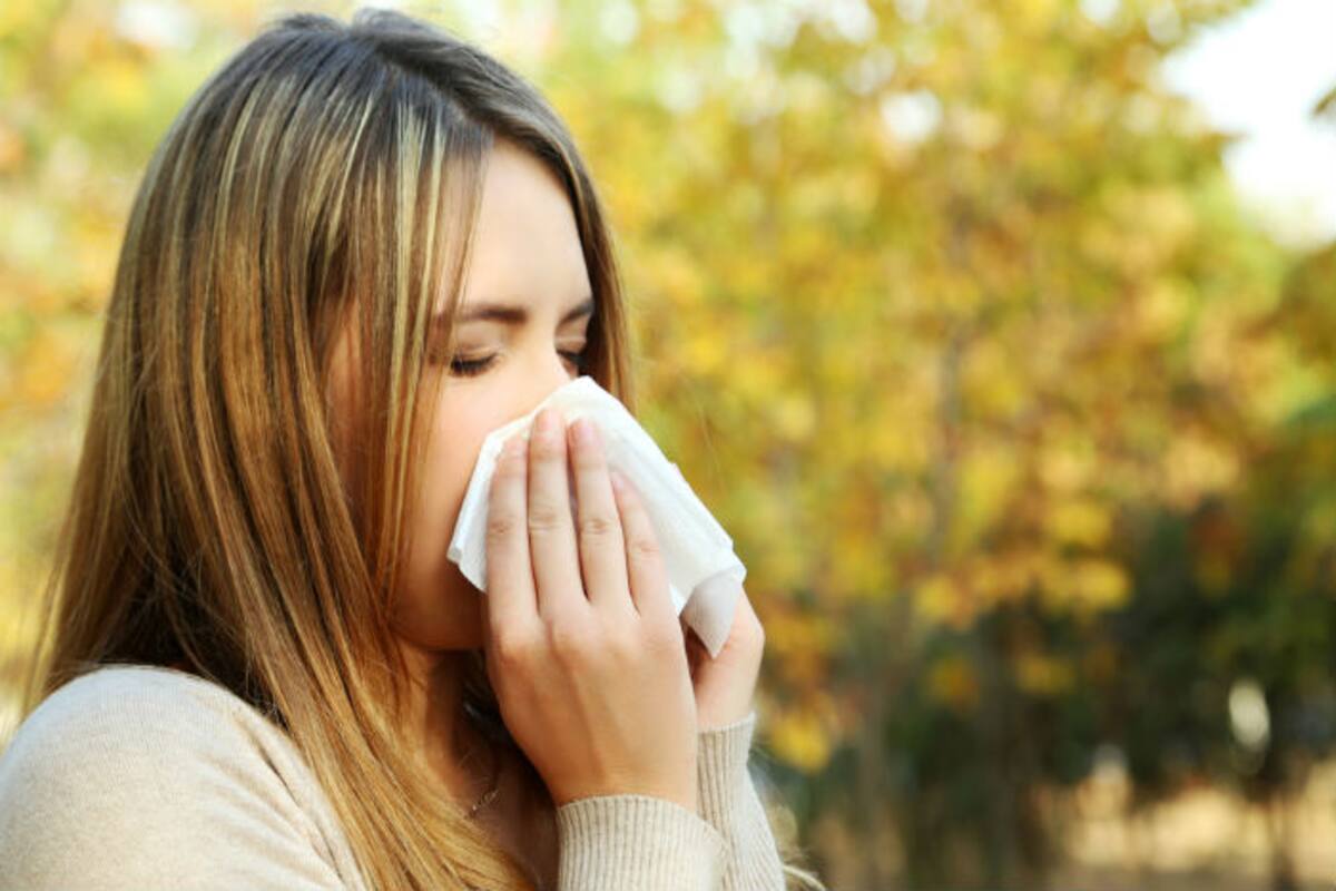 Natural Remedies For Allergy Relief These 5 Home Remedies Will