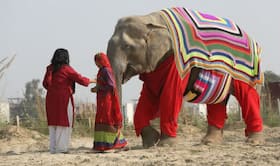 india.com top news