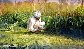 india.com top news