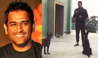 MS Dhoni playing with his dogs is the sweetest video you'll see on Instagram!