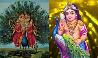 Skanda Sashti 2017 Dates and Images: Significance of God Karthikeya's Kanda Sashti Vratam and Shasti Kavasam Mantra!