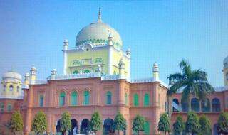 Ulemas Are Not Authorised to Issue Fatwa, Says Nazneen Ansari