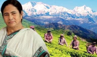 Darjeeling civic polls on May 14: All you need to know