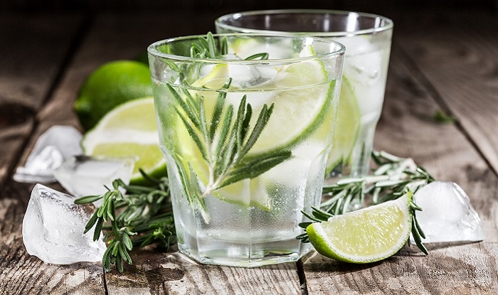 Gin And Tonic The Fascinating Story Behind The Invention Of - 