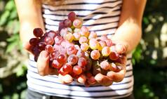 Health benefits of grapes: 7 reasons why you should eat more grapes