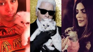 From Priyanka Chopra's Diana to Lady Gaga's Miss Asia Kinney, meet 9 popular celebrity pets on social media!