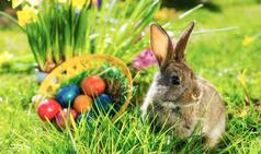 Easter 2020: Netizens Pour Wishes to Celebrate Resurrection of Jesus Christ, Ask Others to Stay Home And Avoid Celebrations