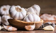 Should Selling of Garlic in Grain Market Attract GST, Asks Rajasthan HC