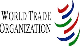 WTO Members Resolve to Work Towards Solutions For Preserving Credibility