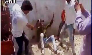 Gau Rakshaks go online: Cow vigilantes use social media to strategise and operate