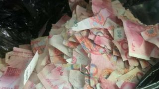 5 year-old Chinese boy rips Dad's savings worth Rs 4.7 lakh because he was bored!