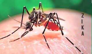 Zika Virus: केरल में आया जीका वायरस का पहला मामला, गर्भवती महिला हुई संक्रमित, जानें क्या है लक्षण और कैसे करें बचाव